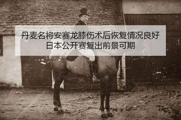 dan-mai-ming-jiang-an-sai-long-xi-shang-shu-hou-hui-fu-qing-kuang-liang-hao-ri-ben-gong-kai-sai-fu-chu-qian-jing-ke-qi-2-393.jpg