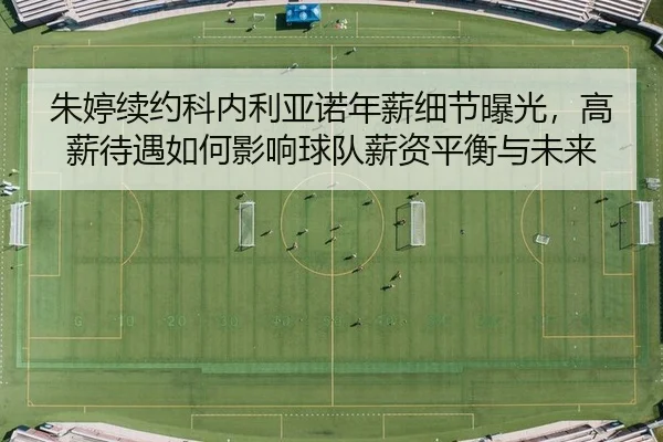 zhu-ting-xu-yue-ke-nei-li-ya-nuo-nian-xin-xi-jie-bao-guang-gao-xin-dai-yu-ru-he-ying-xiang-qiu-dui-xin-zi-ping-heng-yu-2-845.jpg
